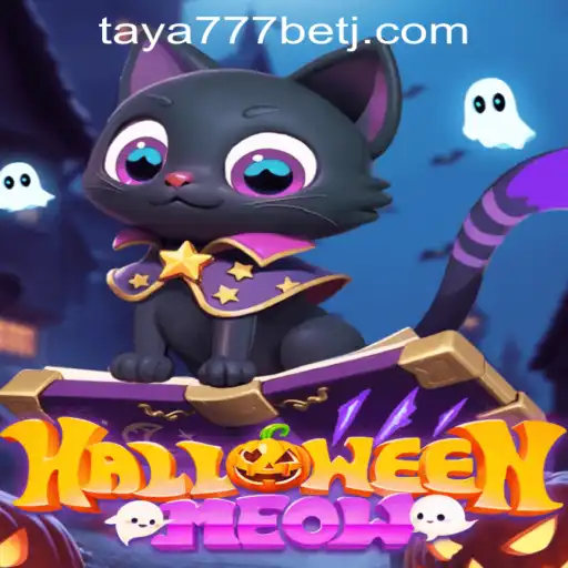 HalloweenMeow: An Enchanting Adventure with Taya777 Bet